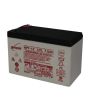 Enersys NP7-12T