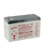 Enersys NP7-12TFR