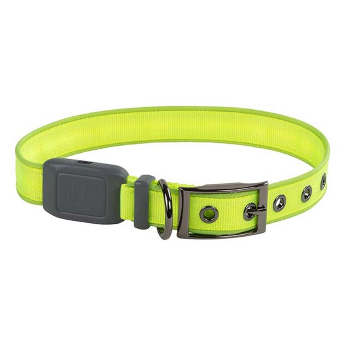 Nite Ize NiteDog Rechargeable LED Collar - L - Lime with Green LED